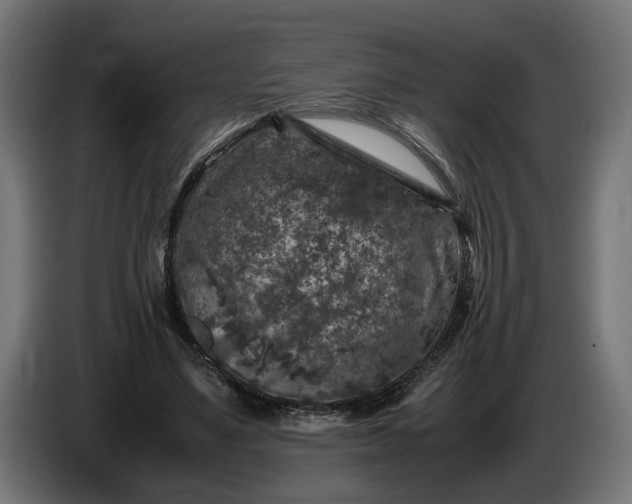 X0000087420491200705041311