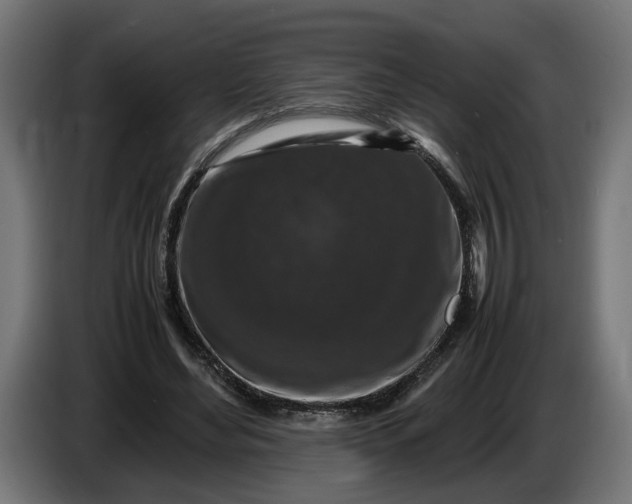 X0000087420492200705041310