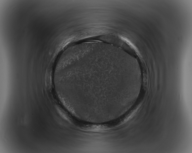 X0000087420493200705041310