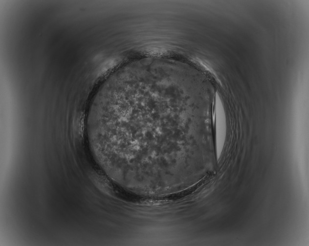 X0000087420495200705041310