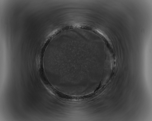 X0000087420496200705041310