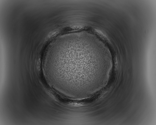X0000087420498200705041310