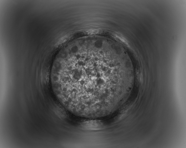 X0000087420499200705041310