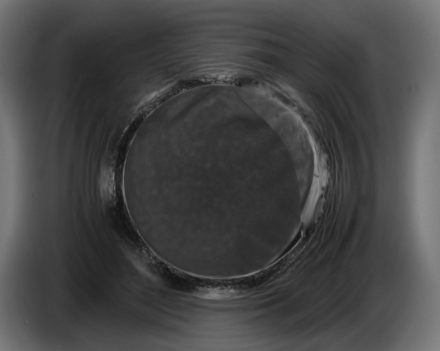 X0000087420500200705041310