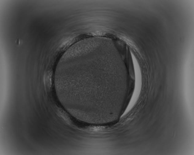 X0000087420501200705041310
