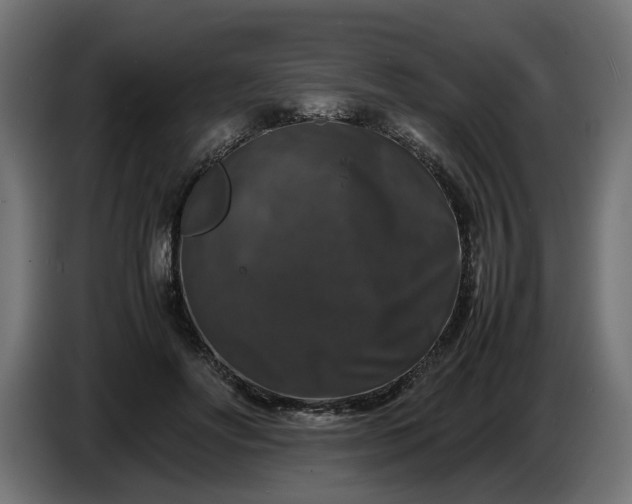 X0000087420502200705041310