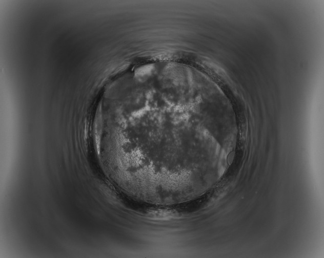 X0000087420503200705041310
