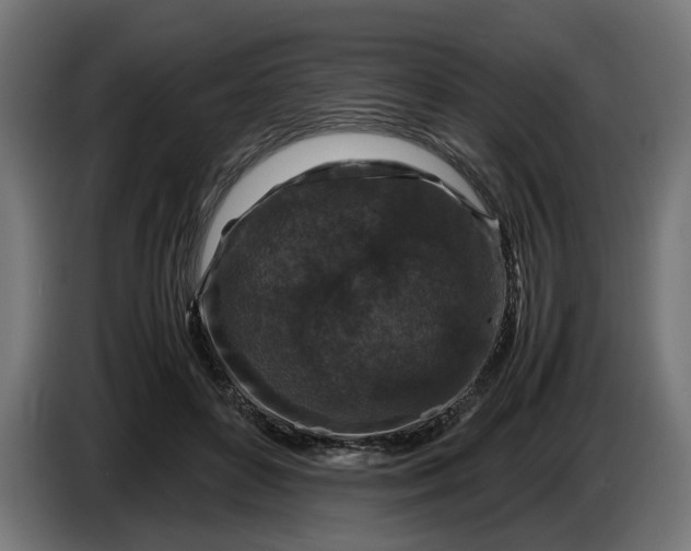 X0000087420504200705041310