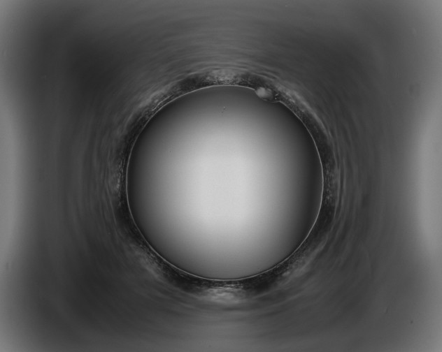 X0000087420505200705041310