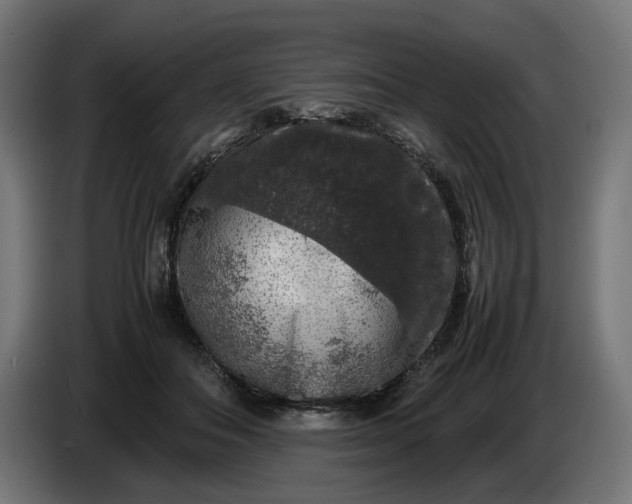 X0000087420506200705041310