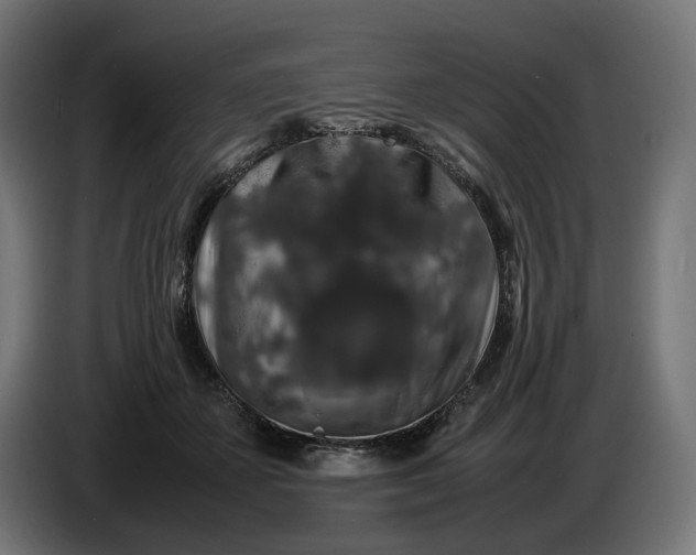 X0000087420507200705041310