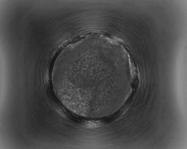 X0000087420508200705041310