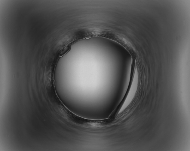 X0000087420509200705041310