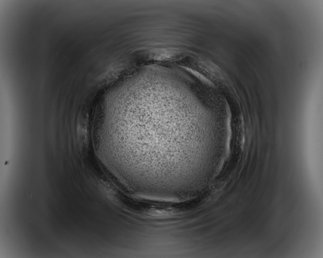 X0000087420510200705041310