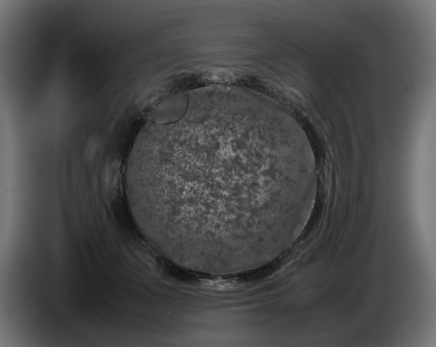 X0000087420511200705041310