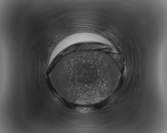 X0000087420512200705041310