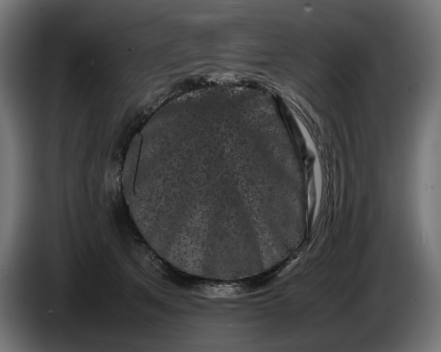 X0000087420513200705041310