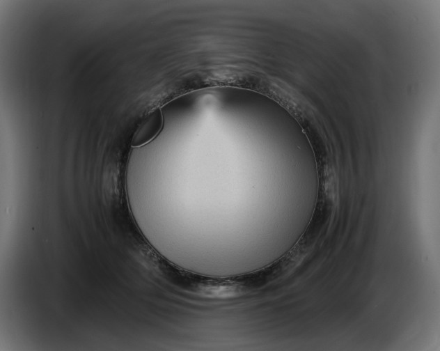 X0000087420514200705041310