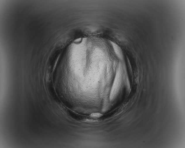 X0000087420515200705041310