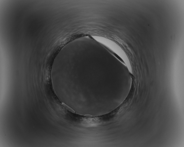 X0000087420517200705041310