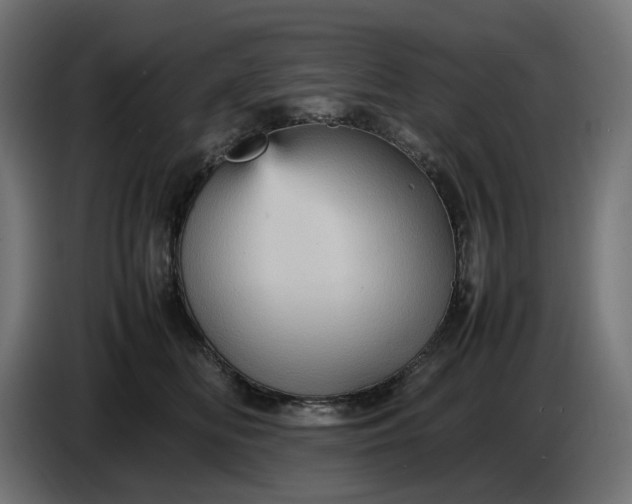 X0000087420518200705041310