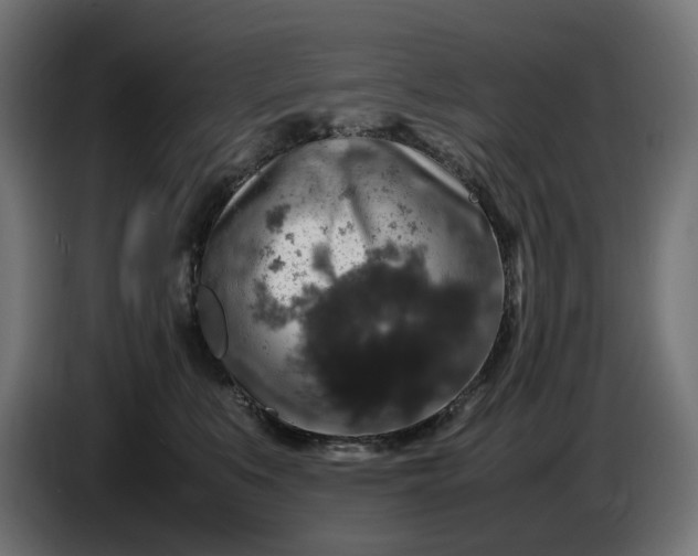 X0000087420519200705041310