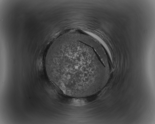 X0000087420520200705041310