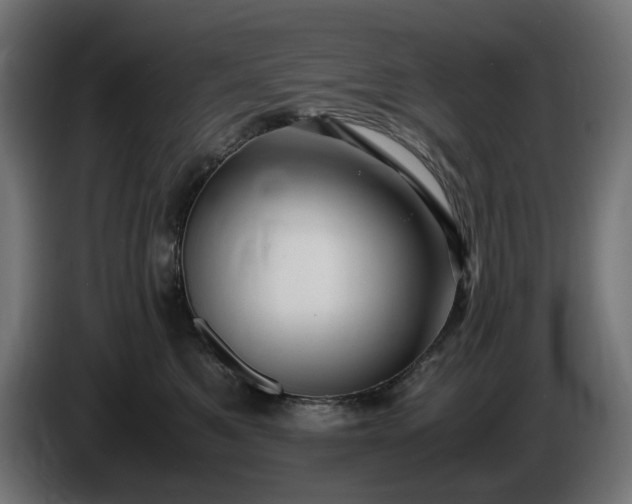 X0000087420521200705041310