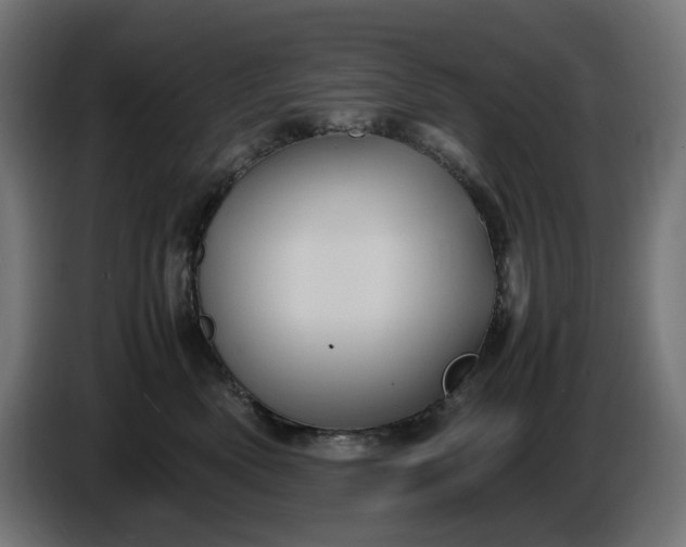 X0000087420522200705041310