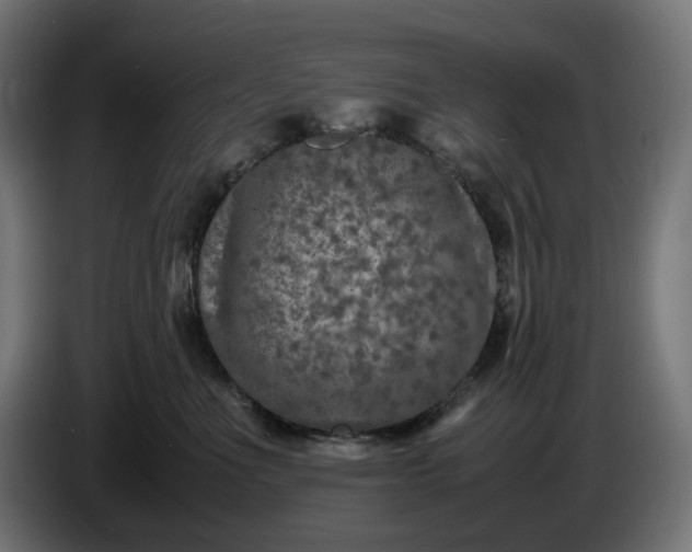 X0000087420523200705041310