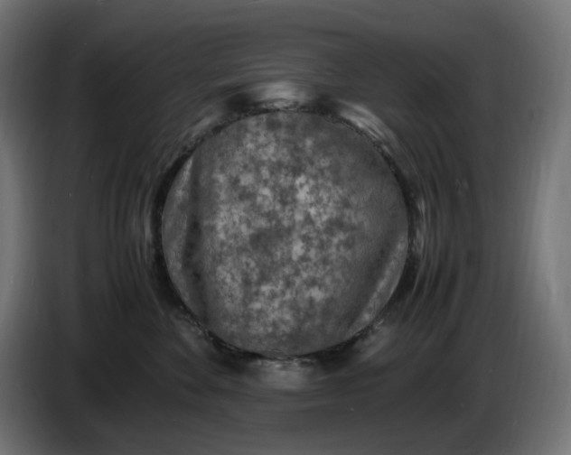 X0000087420524200705041310