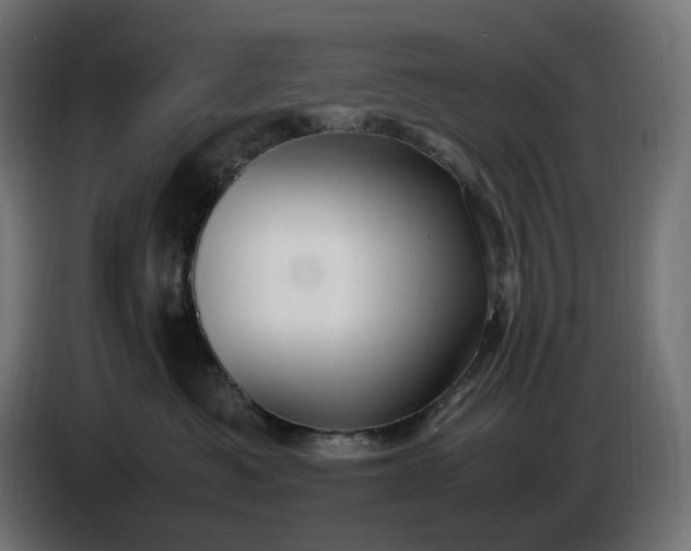 X0000087420525200705041310