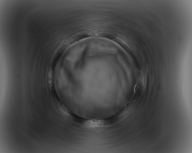 X0000087420526200705041310