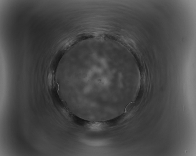 X0000087420527200705041310