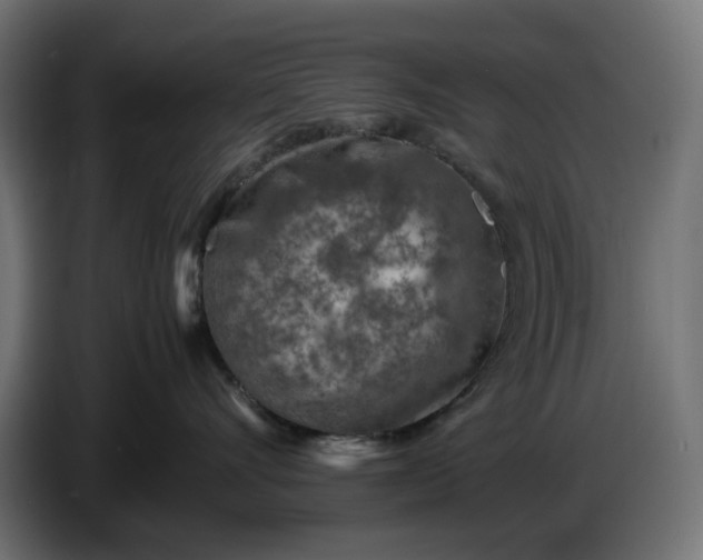 X0000087420528200705041310