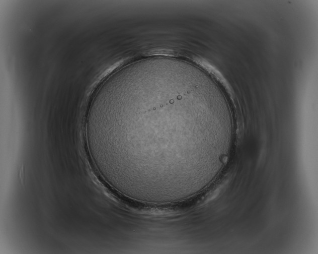 X0000087420529200705041309