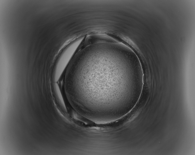 X0000087420530200705041309