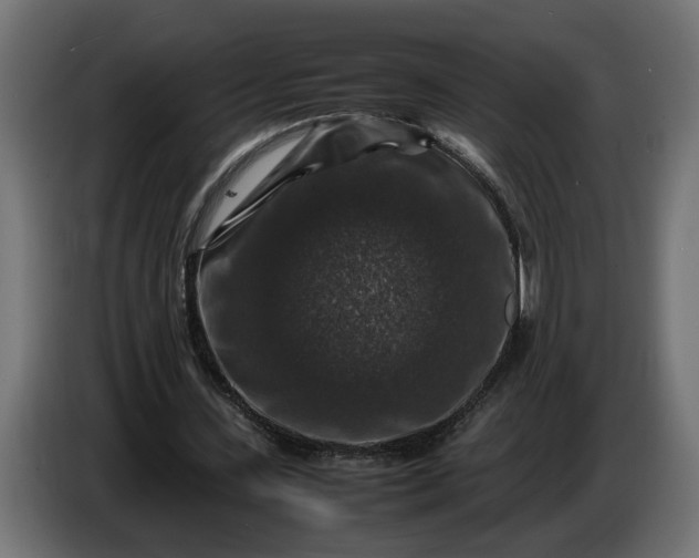 X0000087420531200705041309