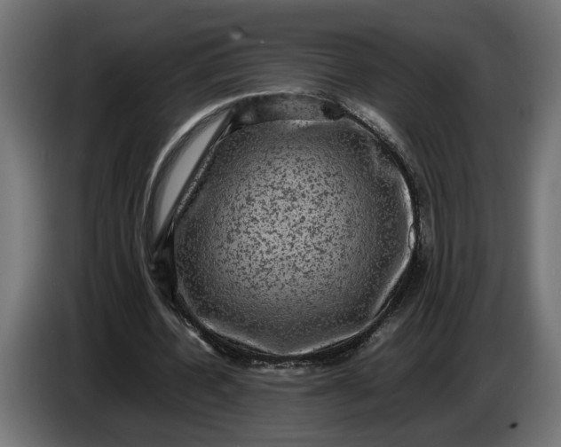 X0000087420532200705041309
