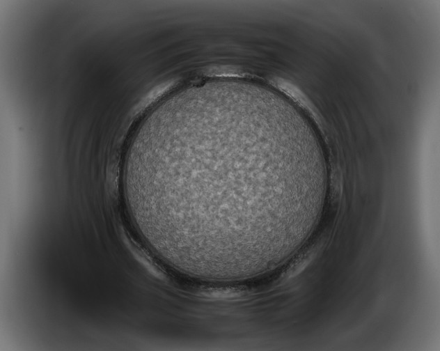 X0000087420533200705041309