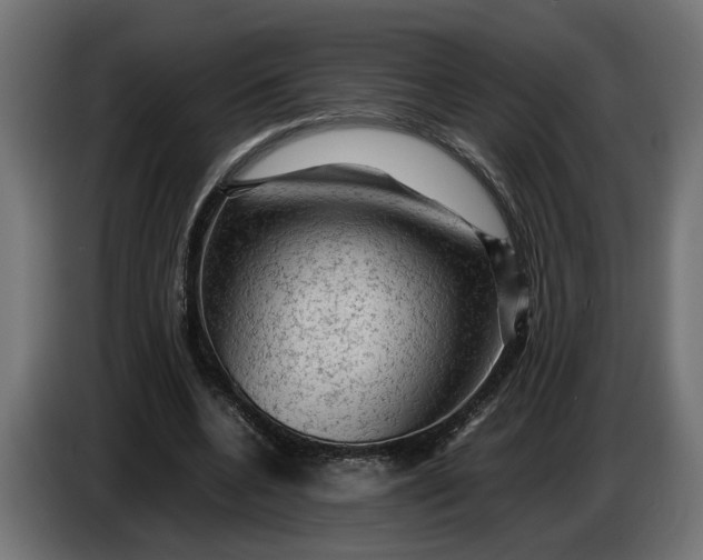 X0000087420536200705041310