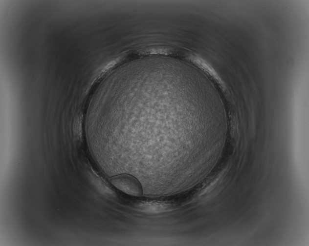 X0000087420537200705041310