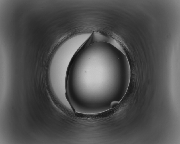 X0000087420538200705041310