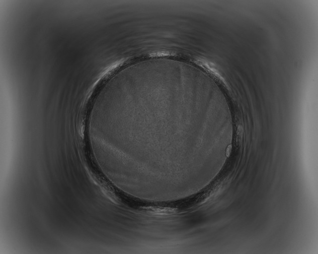 X0000087420539200705041310