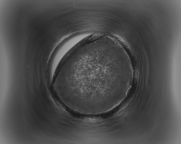 X0000087420540200705041310