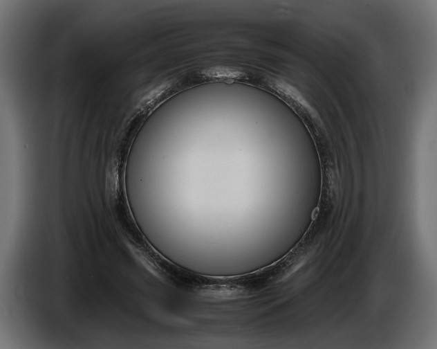 X0000087420541200705041310