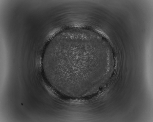 X0000087420542200705041310