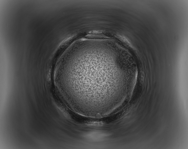 X0000087420543200705041310