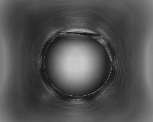 X0000087420544200705041310