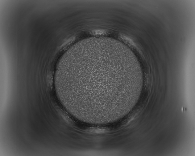 X0000087420545200705041310